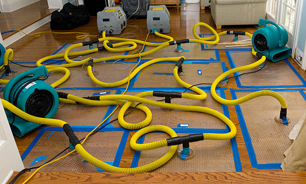 Professional Storm Water Damage Restoration technician working in Benicia, CA